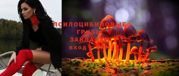 бошки Алексеевка