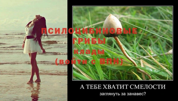 бошки Алексеевка
