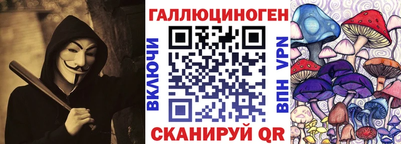 гидра ТОР как найти наркотики Салехард Псилоцибиновые грибы GOLDEN TEACHER